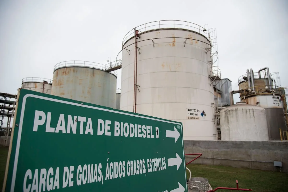 Revolución agroindustrial: la nueva ley bioenergética y su impacto en la soja