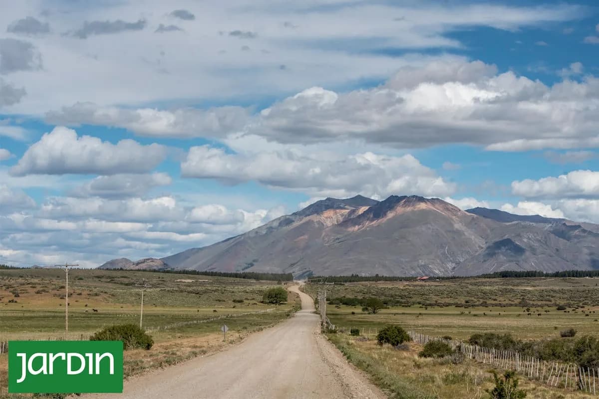 Qué es un ecotono: la zona de transición donde la Patagonia concentra su mayor biodiversidad