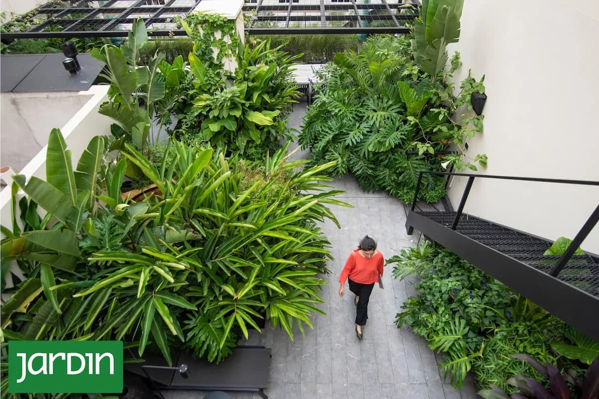 Cómo transformar jardines con decisiones simples pero potentes
