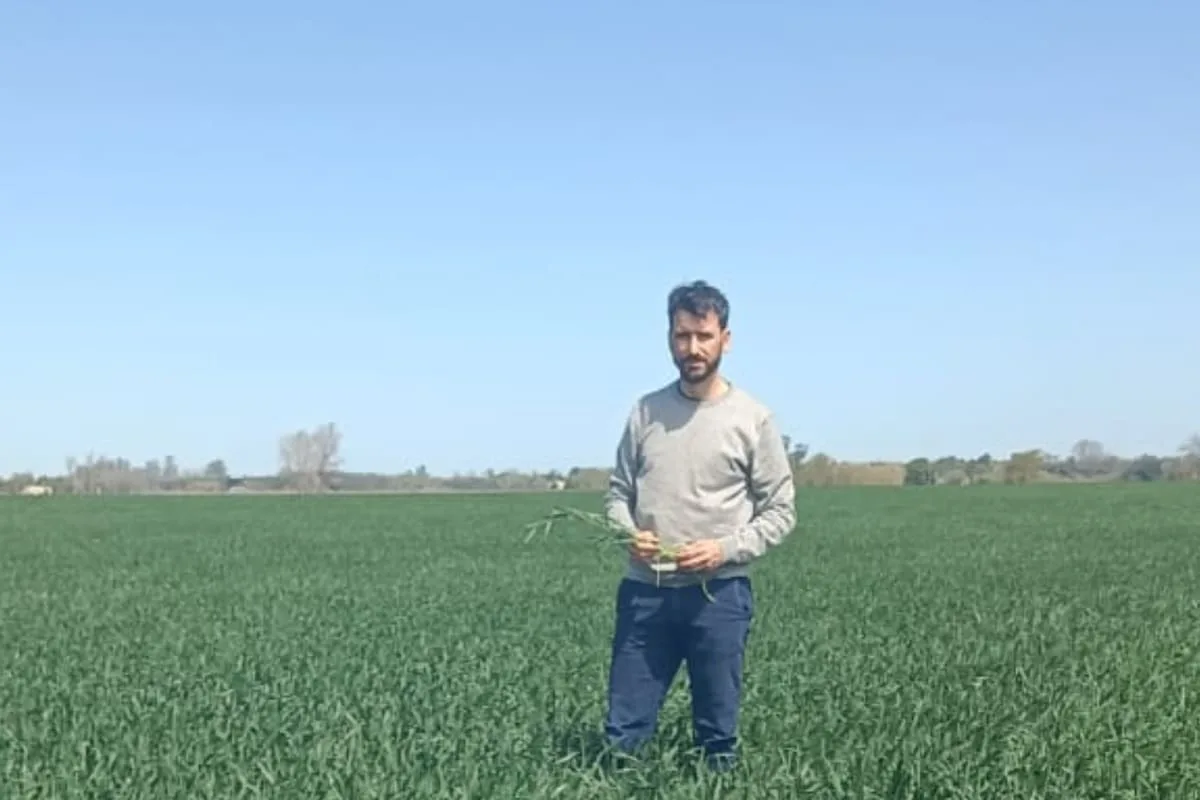 Baja de retenciones: productores de trigo ven alivio, pero dudan del impacto real