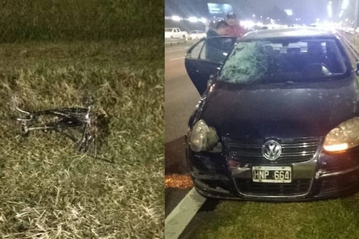 Murió un niño atropellado en la Panamericana tras bajar con su bicicleta