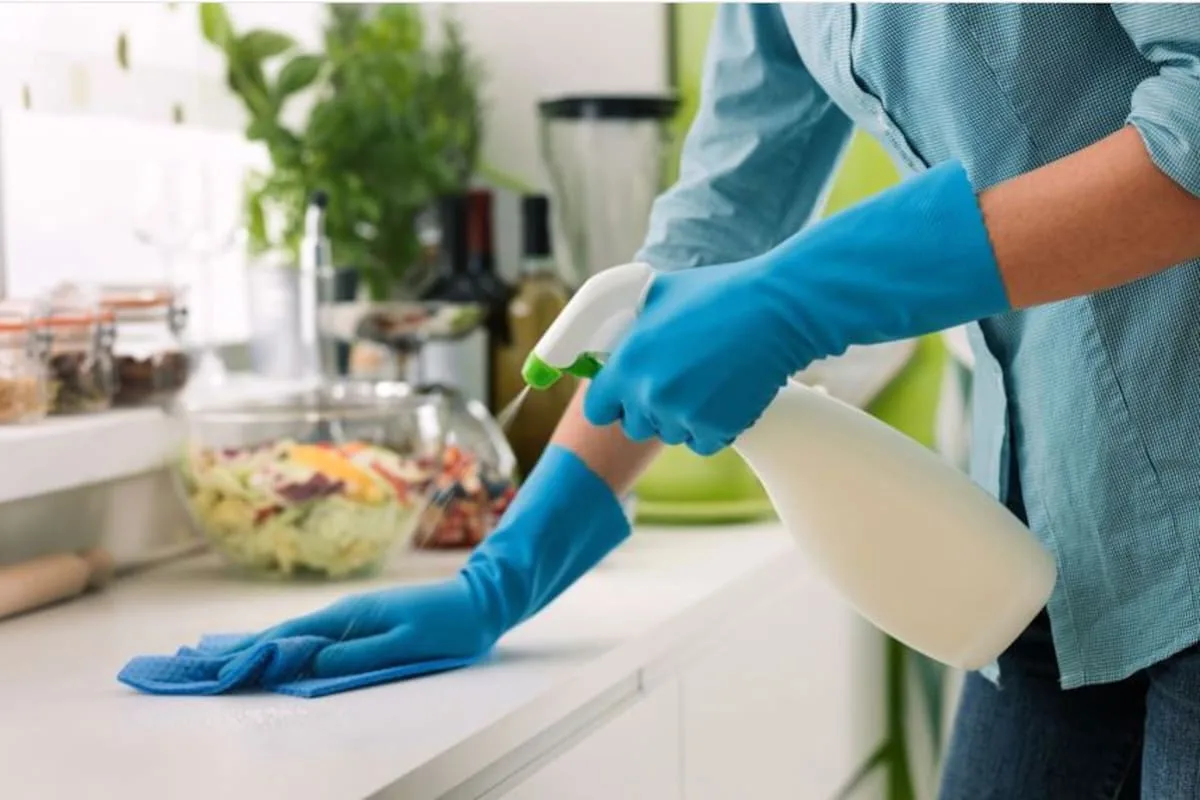 ARCA implementa recibo de sueldo 100% digital para trabajadoras de casas particulares