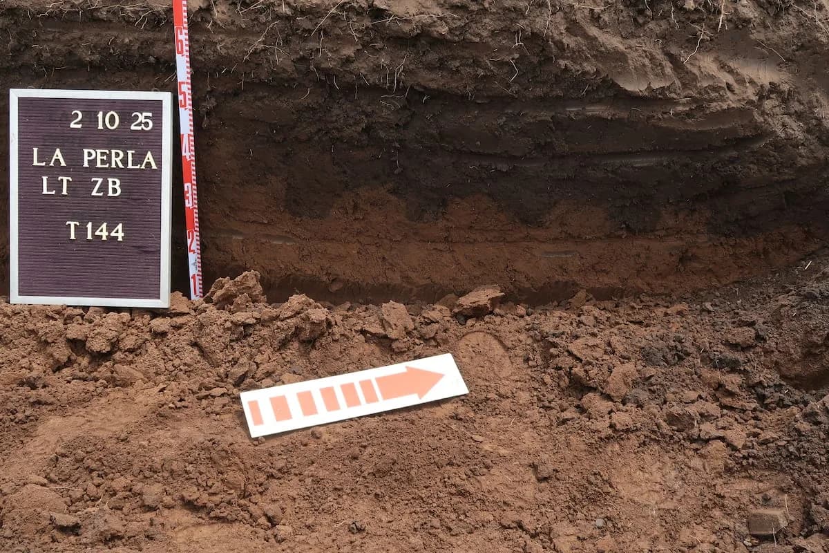 Reanudan búsqueda de restos en La Perla: excavaciones hasta septiembre