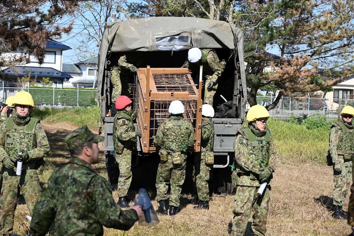 Japón envía militares a la OTAN y China acusa neomilitarismo