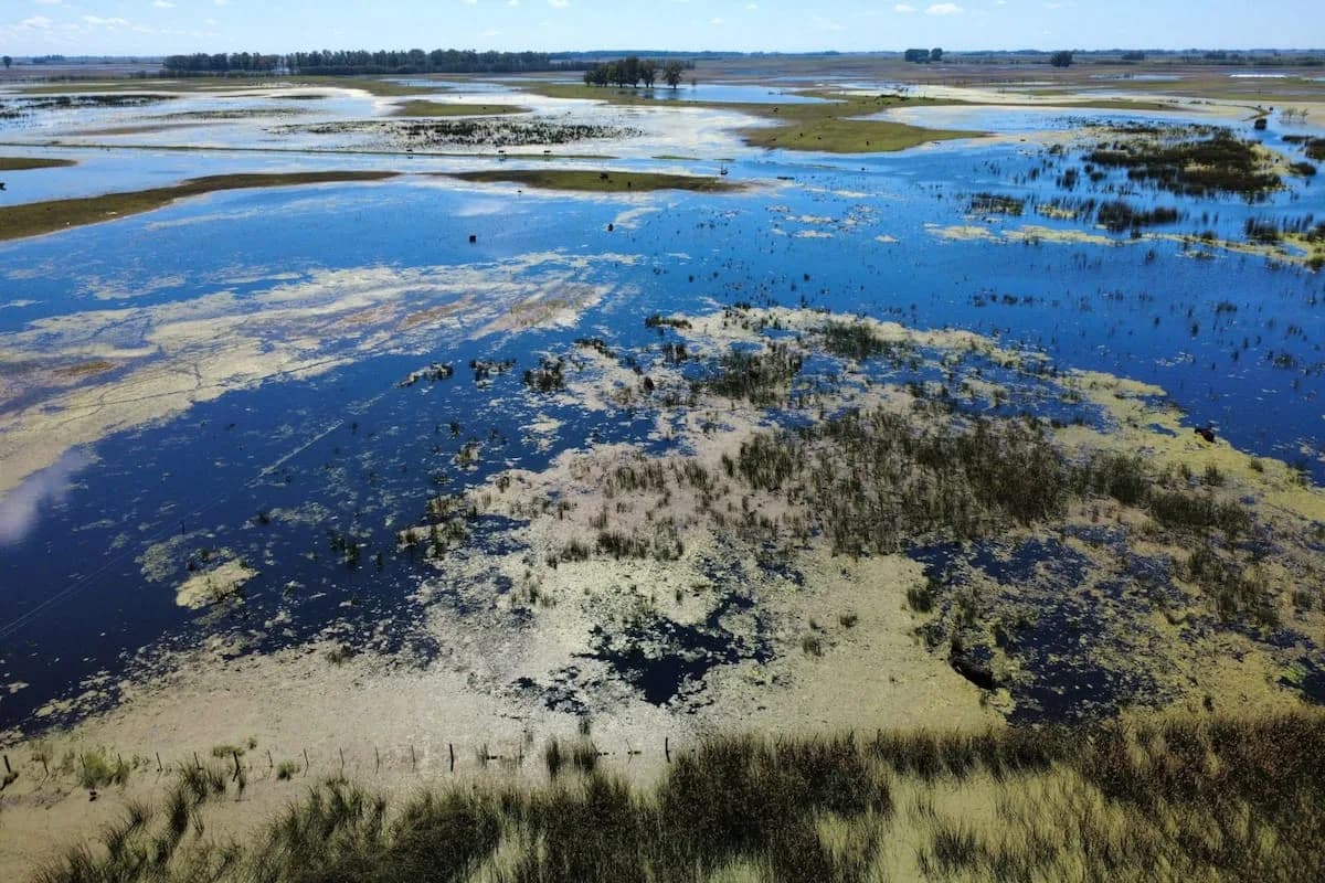 Descartan un súper El Niño y proyectan menos heladas para el otoño