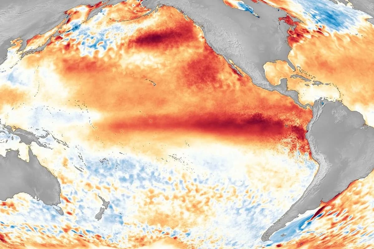 El Niño tiene más del 60% de probabilidad de llegar entre junio y agosto