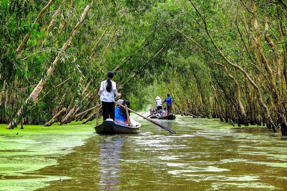 Crucero por el Mekong: arrozales, pueblos y tradiciones entre Camboya y Vietnam