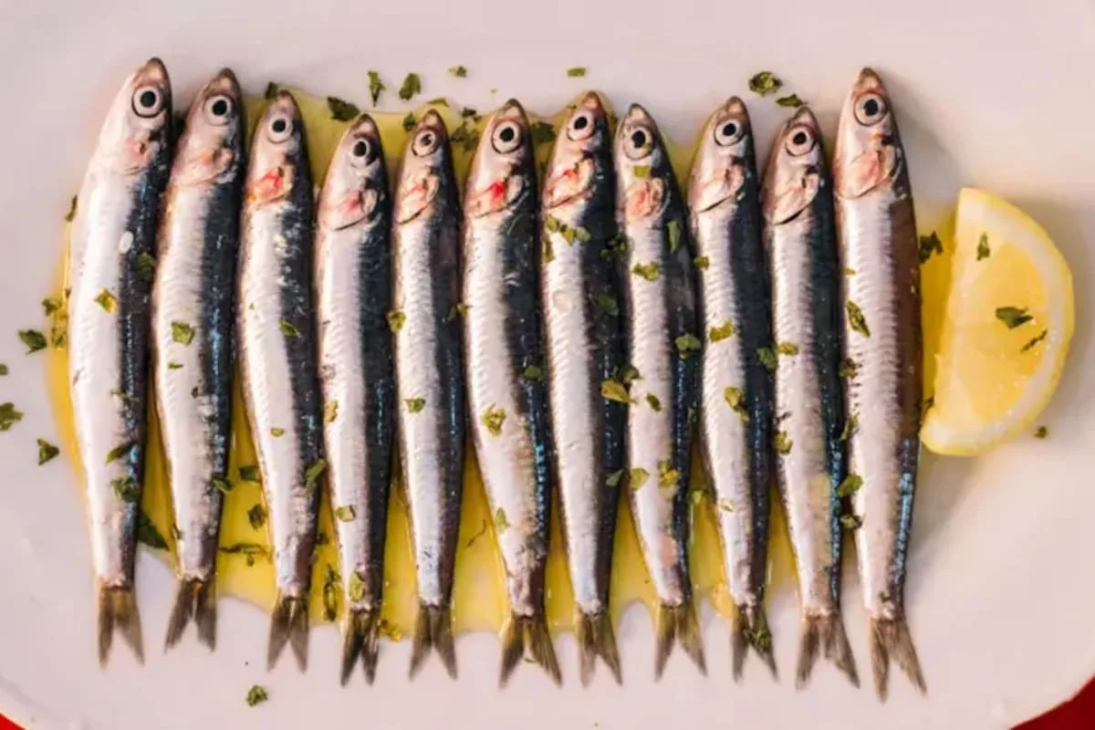 Las sardinas: el superalimento económico que cubre todas tus necesidades de omega-3